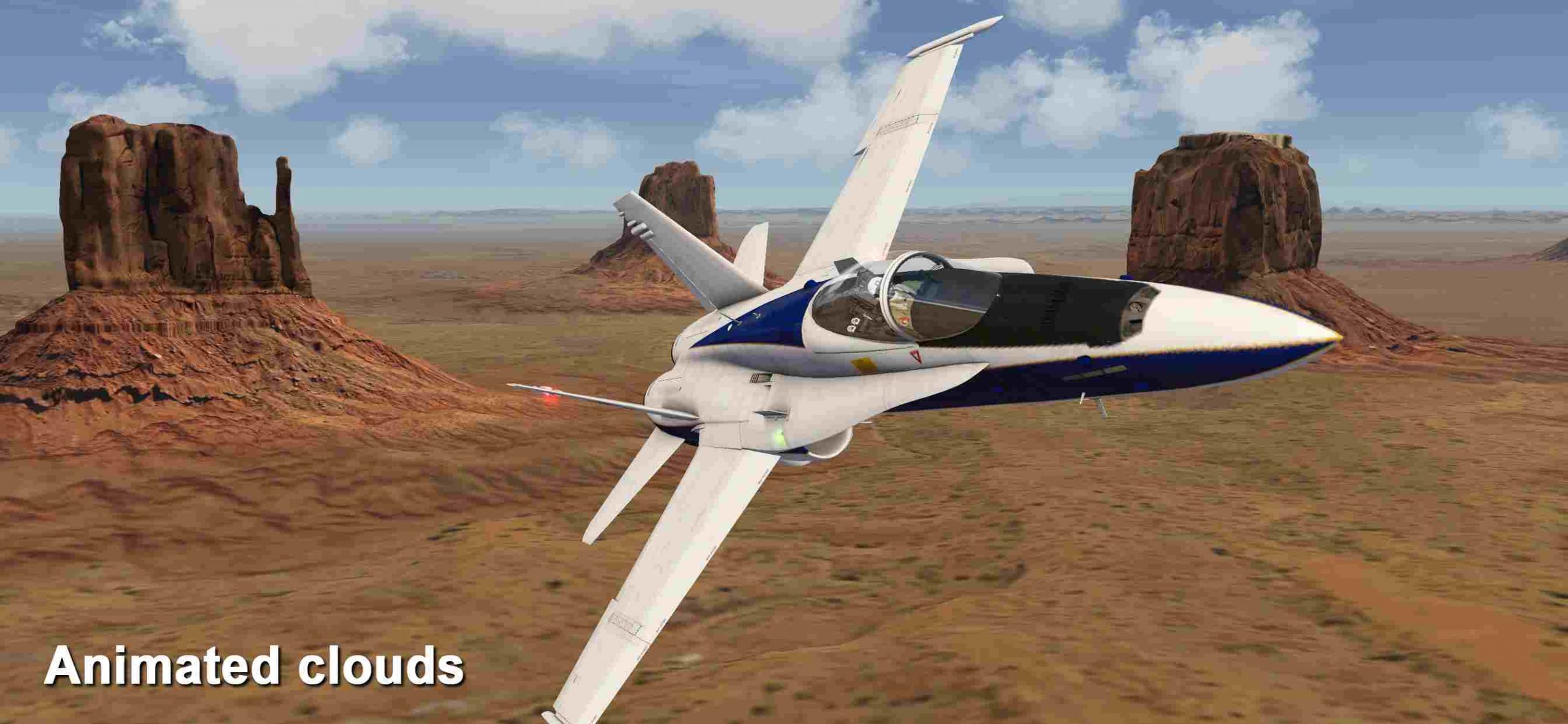 Ear Aerofly FS 2021 